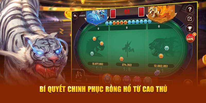 Bí quyết chinh phục Rồng Hổ